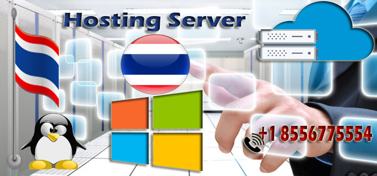 What type of Hosting Server will be beneficial to pick?